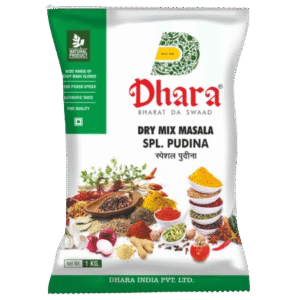 Dry Mix Masala SPL. Pudina